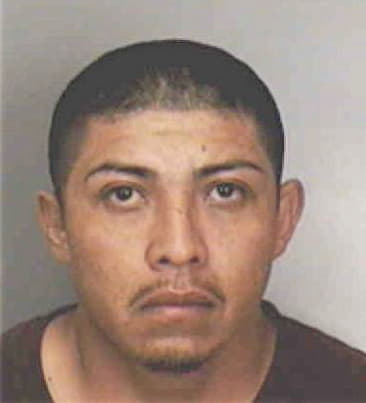 Carlos Gonzalezcorona, - Polk County, FL 