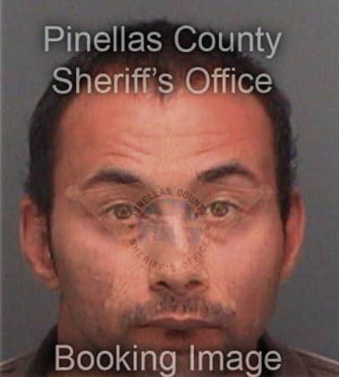 Thomas McGowan - Pinellas County, FL 
