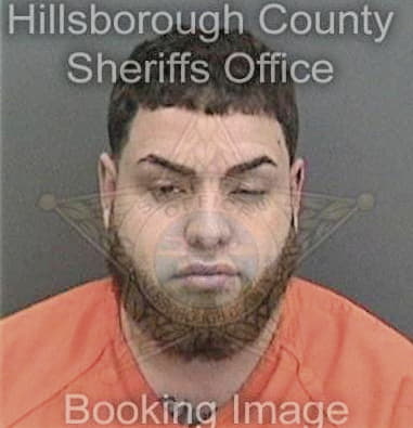 Elvin Astaciorosa, - Hillsborough County, FL 