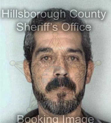 Nicolae Frumosu, - Hillsborough County, FL 