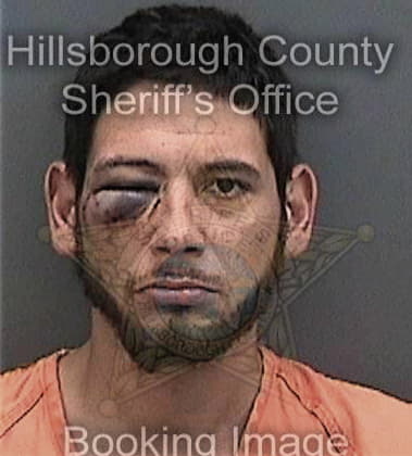 Hector Riverareyes - Hillsborough County, FL 