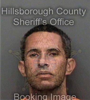 Buddy Simmons, - Hillsborough County, FL 