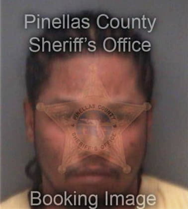 Maurice Wheeler, - Pinellas County, FL 