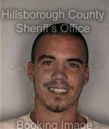 Bradley Bollinger - Hillsborough County, FL 