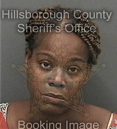 Lakeisha King, - Hillsborough County, FL 