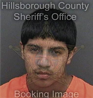 Christopher Manning, - Hillsborough County, FL 