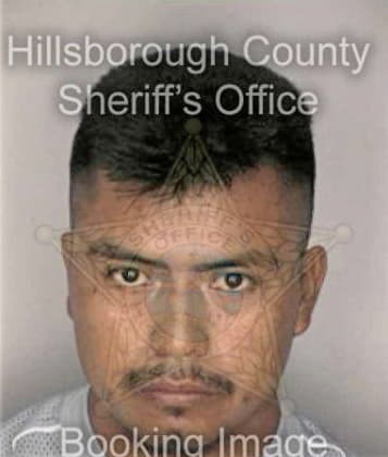 Alejandro Mentadoramon - Hillsborough County, FL 
