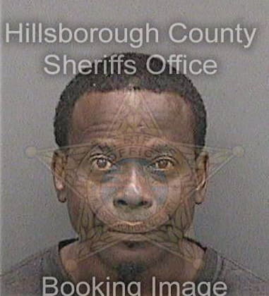 Vlalvic Michel - Hillsborough County, FL 
