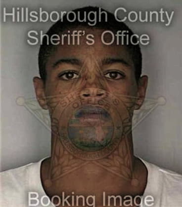 Tiras Singletary, - Hillsborough County, FL 