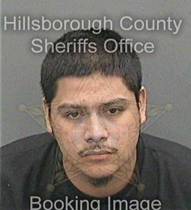 Dennis Edy, - Hillsborough County, FL 