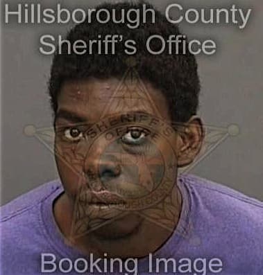 Tyree Jenkins, - Hillsborough County, FL 