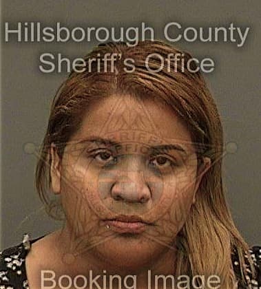 Sonia Mujica-Watkins, - Hillsborough County, FL 