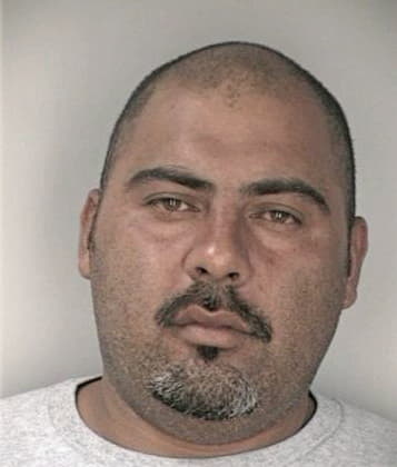 Manuel Nerio, - Hillsborough County, FL 