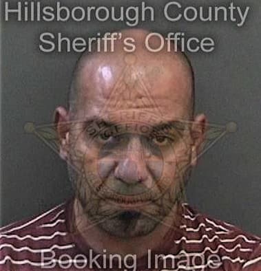 Ihab Alwaeli, - Hillsborough County, FL 