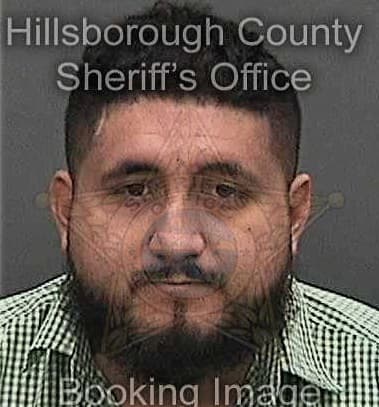 Chadwick Copeland, - Hillsborough County, FL 