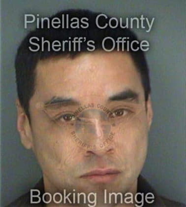 Noe Garcia, - Pinellas County, FL 