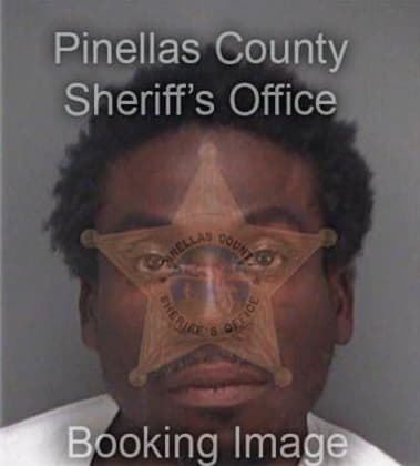 Sanchesz Maultsby - Pinellas County, FL 