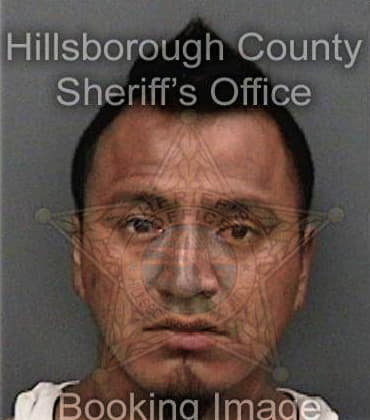 Brian Osceola, - Hillsborough County, FL 