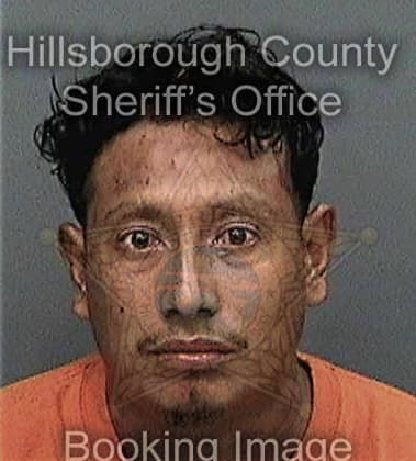 Osvaldo Romay, - Hillsborough County, FL 