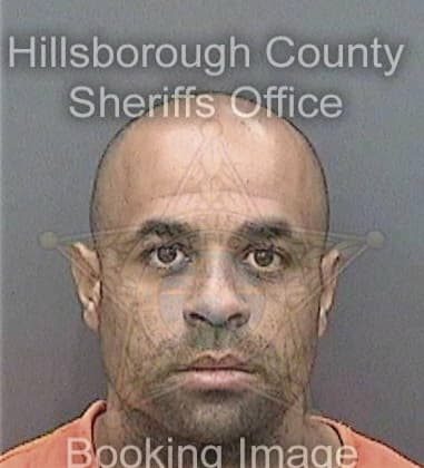 Desmond Vinson, - Hillsborough County, FL 