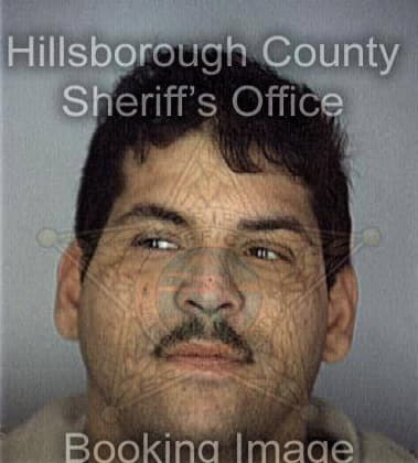 Donald Braddock - Hillsborough County, FL 