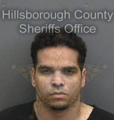 Robert Clark - Hillsborough County, FL 