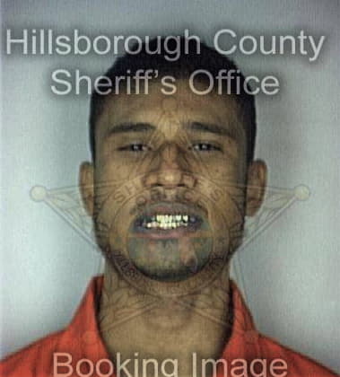 Steve Coley - Hillsborough County, FL 