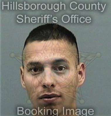 Joshua Helman, - Hillsborough County, FL 