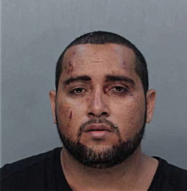 Fernandez Martinez, - Dade County, FL 