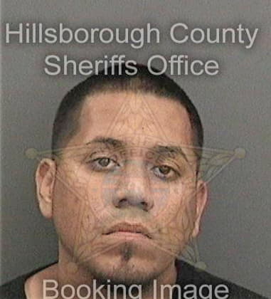 Denis Reyes, - Hillsborough County, FL 