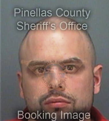 Christopher Wood, - Pinellas County, FL 