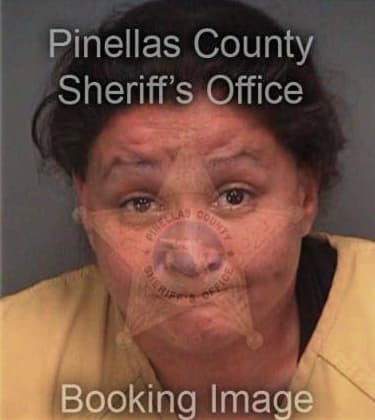 Pamela Melomedina, - Pinellas County, FL 