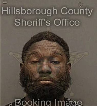 Demetrius Nelson, - Hillsborough County, FL 