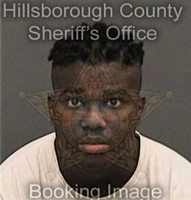 Andrew Thompkins, - Hillsborough County, FL 