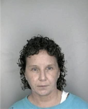 Tamara Baltagi - Hillsborough County, FL 