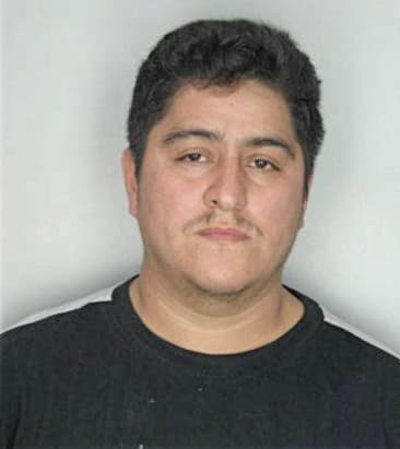 Alejandro Estradamartinez, - Hillsborough County, FL 