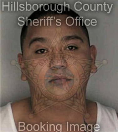 Irineo Garivay, - Hillsborough County, FL 