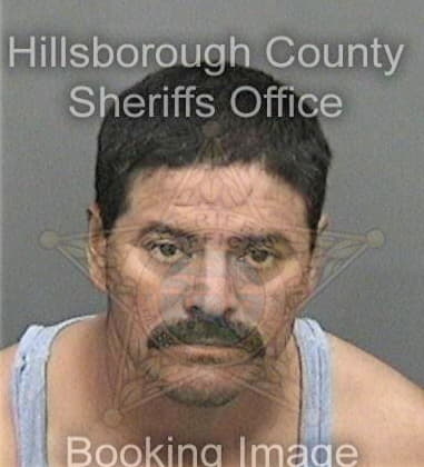 Carlos Irizarryarman, - Hillsborough County, FL 