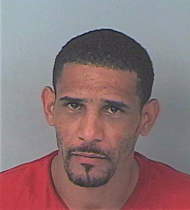 Mark Llerena - Hernando County, FL 