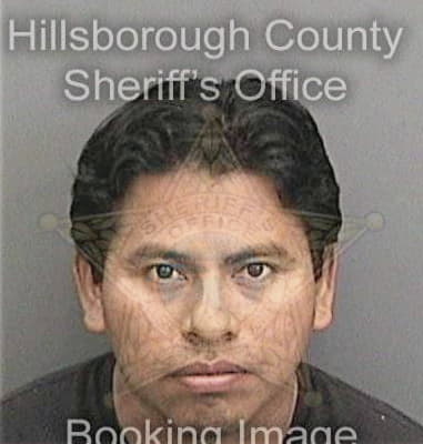 Obed Lopez, - Hillsborough County, FL 