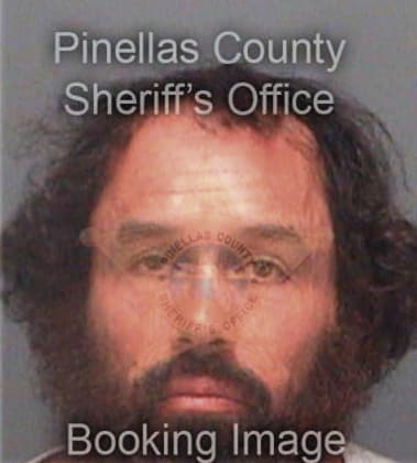 Vincent Michalowski, - Pinellas County, FL 