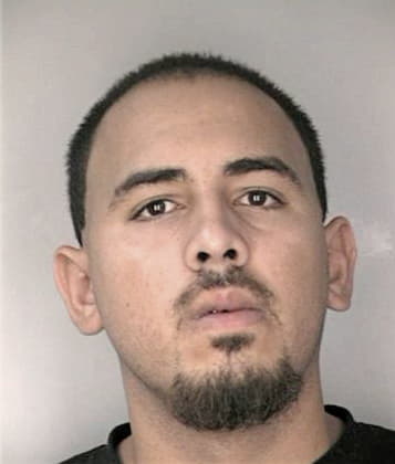 Andre Ramosdasilva, - Hillsborough County, FL 