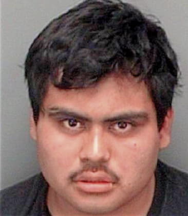 Gabriel Bartolo, - Pinellas County, FL 