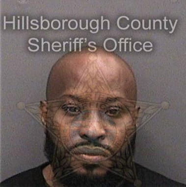 Michael King, - Hillsborough County, FL 