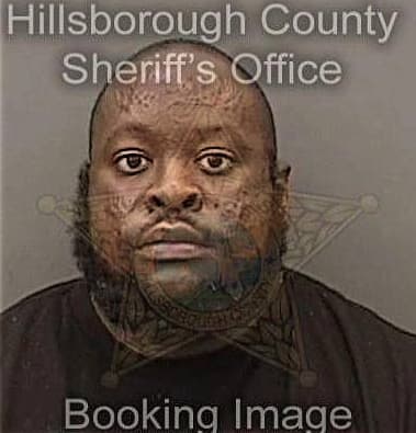 Treston Lewis, - Hillsborough County, FL 