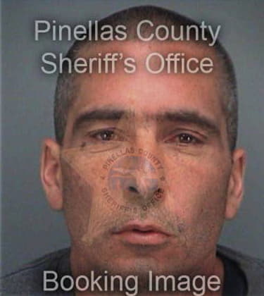 Mitchell Norling, - Pinellas County, FL 