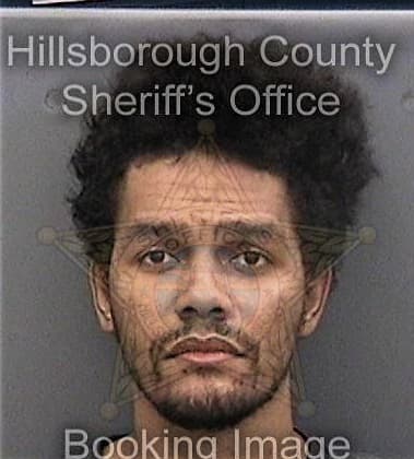 Michael Parsons, - Hillsborough County, FL 