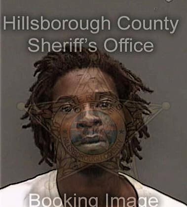 Lloyd Tummings, - Hillsborough County, FL 