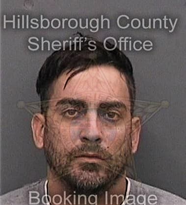 David Hajipour, - Hillsborough County, FL 