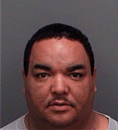 Vincente Hernandezherrera, - Pinellas County, FL 